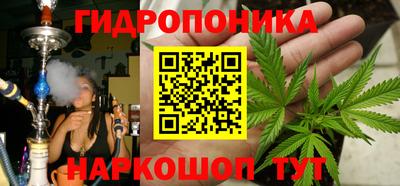сатива Славгород