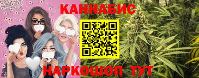амф Сланцы