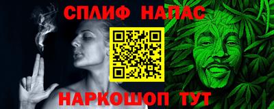 амф Сланцы