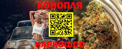 сатива Славгород